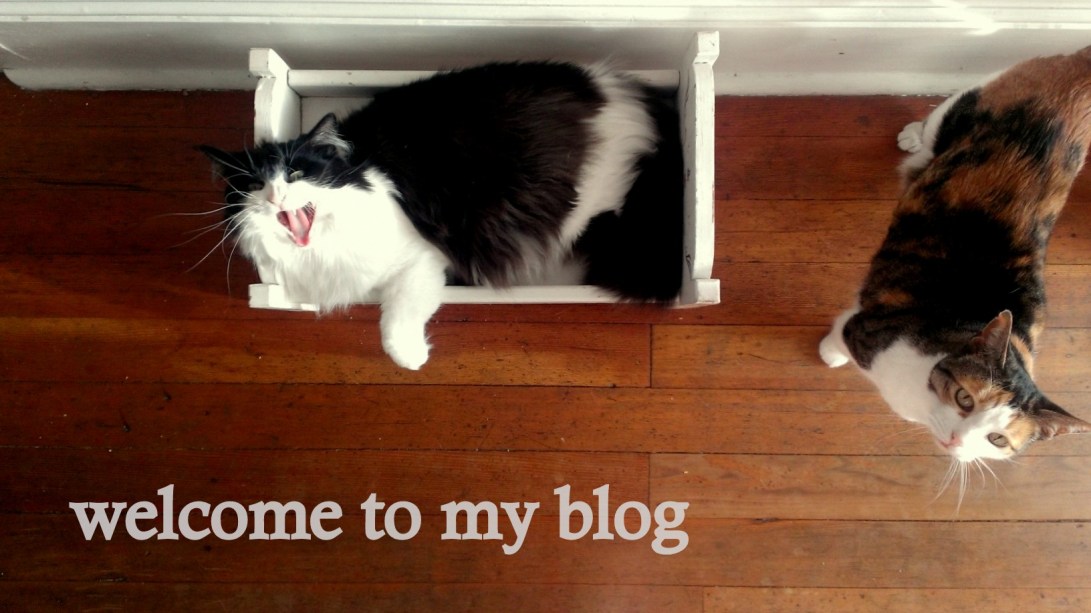 welcome-to-my-blog