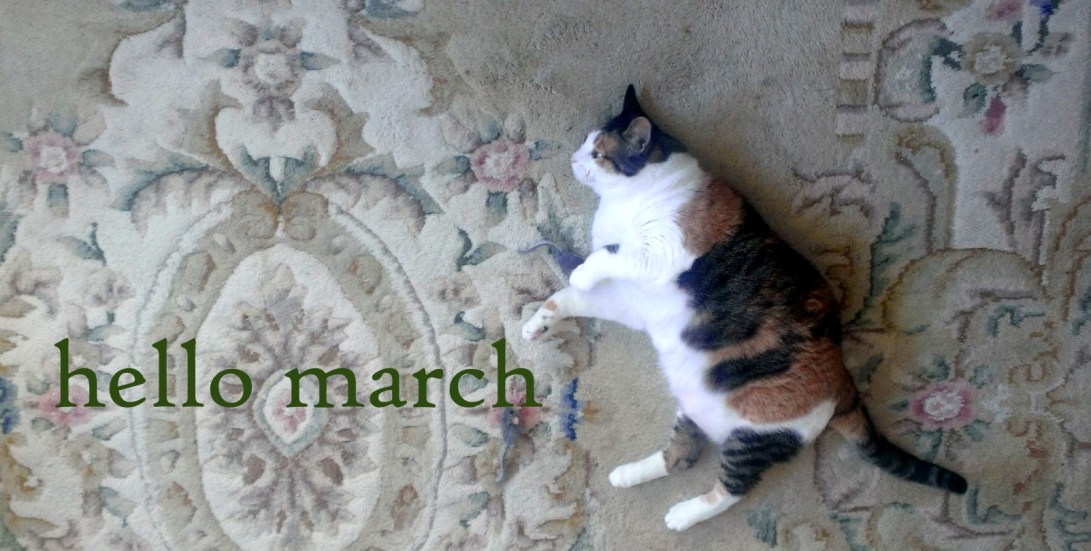 hello march paula nasmith